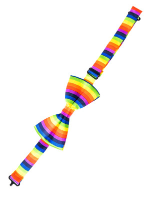 Fliege Regenbogen | Kostümzubehör & Accessoires für Karneval & Halloween | Deiters