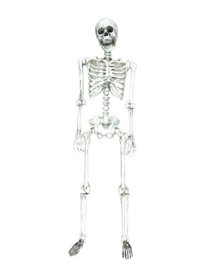 Skelett beweglich 155cm weiß