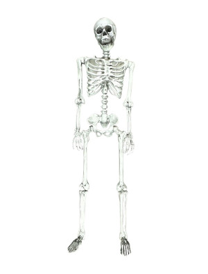 Skelett beweglich 155cm weiß | Partydeko für Karneval, Halloween & mehr | Deiters