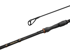 Canne carpe Delphin ARZENAL LS+ 360cm/3,00lbs/2 pcs Gray, Beige 360cm/3,00lbs/2 pcs