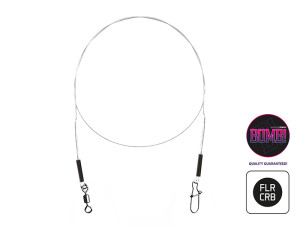 Delphin Fil en fluorocarbon BOMB! Avec émerillon et agrafe par 2 /15cm/5kg Silver, Gray par 2 /15cm/5kg