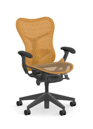 Herman Miller Mirra 2 Graphite Muster - Konfigurator