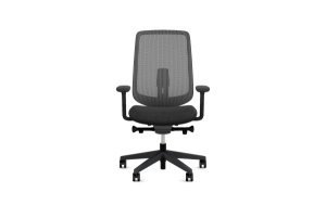 Herman Miller Verus Black - Slate