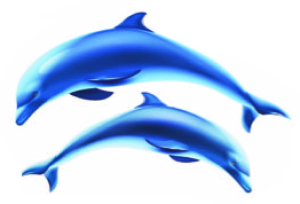 Décoration auto-collante 2 Dauphins