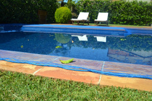 Bâche piscine anti-feuille et insectes 4 x 4 m carré