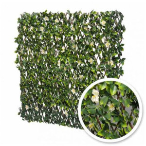Treillis extensible Jasmin Fleuri : 1m x 2m