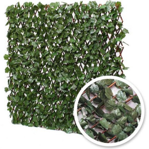 Treillis extensible Lierre : 1m x 2m