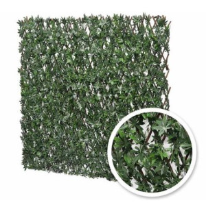 Treillis extensible Vigne Vierge : 1m x 2m