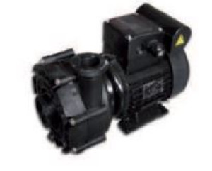 Speck pumpen Pompe SPECK21-40/53G de 0.55KW + ( GS14) + 2 raccords PVC