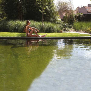 Rouleau liner armé de 2.05 x 20 m - Alkorplan Natural Pool - Vert olive