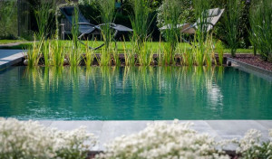 Kit filtration piscine naturelle - Type IV : Limpide : 100 m3