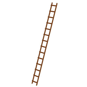Günzburger Dachdeckerleiter aus Holz 14 Sprossen 33122