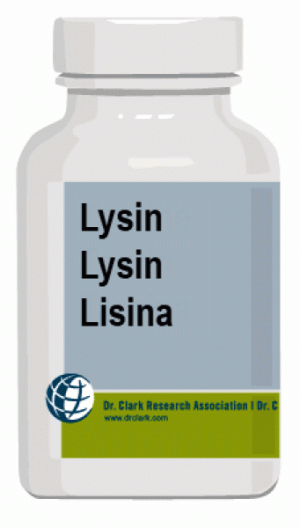 Lysin 500 mg 100 Kapseln (359,33 EUR / kg)