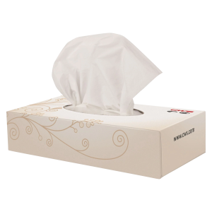 CWS Kosmetiktücher Tissue Box, 2-lagig, Zellstoff - 20x100 Blatt