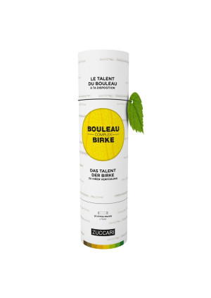 Zuccari Bouleau Complex Birke Sticks - 25 Stk.