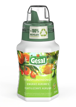 Gesal Zitruspflanzendünger - 250ml