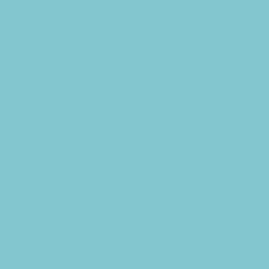 Elsa Bezug für Nackenkissen Standard 50x11cm Veloursbezug Hellblau - 1 Stk.