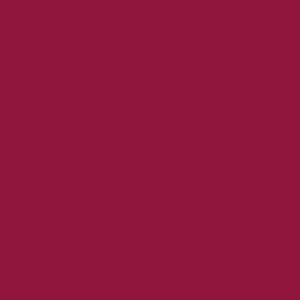 Elsa Bezug für Nackenkissen Standard 50x11cm Veloursbezug Bordeaux - 1 Stk.