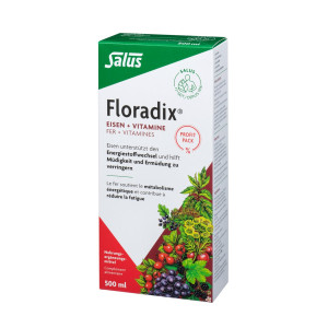 Floradix Eisen + Vitamine Eisenergänzung Saft - 500ml