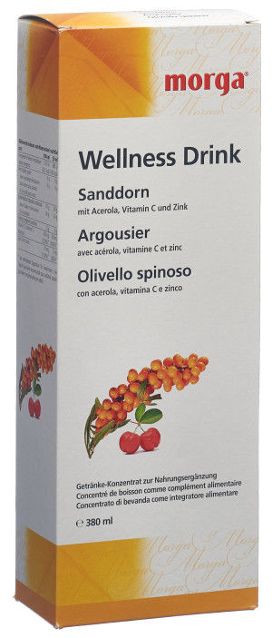 Morga Wellness Drink Sanddorn - 380ml