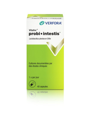 Vitafor probi-intestis - Blähungen + gesunde Darmflora - 40 Kaps.