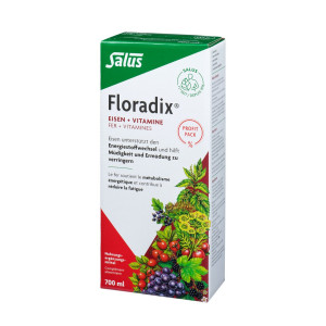 Floradix Eisen + Vitamine Eisenergänzung Saft - 700ml