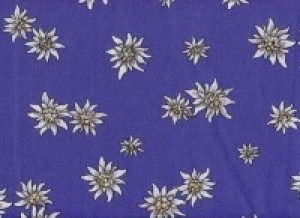 Raps-Kissen Säckli - Edelweiss blau