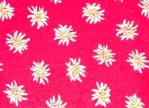 Traubenkern-Kissen Säckli - Edelweiss rot