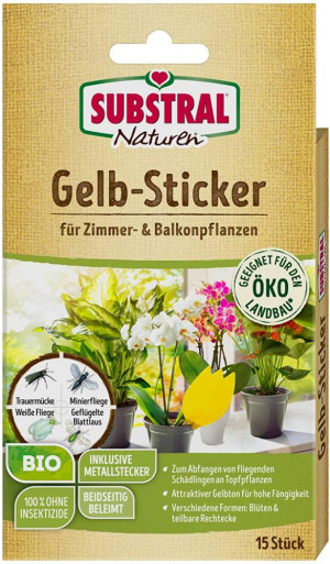 Naturen Gelbstecker 10 Stück