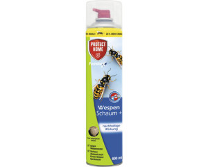 Wespenschaum+ Protect Home 600 ml (33,25 EUR / l)