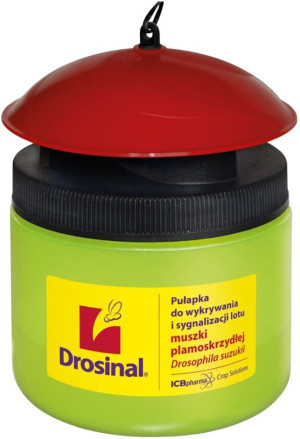 Pułapka Drosinal – skuteczna ochrona plantacji przed muszką plamoskrzydłą (Drosophila suzuki)