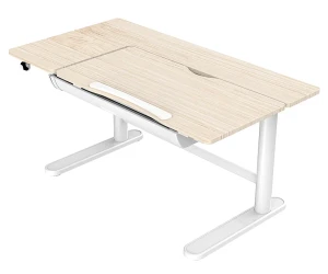 Regulowane dziecięce biurko elektryczne ergonomiczne - Qall 2X