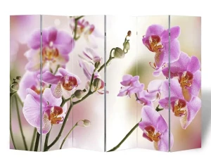 Kolorowy parawan w kwiaty - Folken 3X 217 x 170 cm