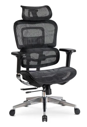 Ergonomiczny fotel biurowy regulowany z zagłówkiem - Tesso