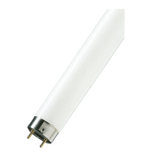 4Ft 36W 1" Diameter White Fluorescent Lamps