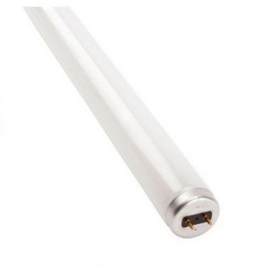 6Ft 70W Fluorescent Lamp Cool White