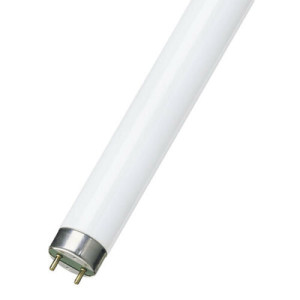 6Ft 70W Daylight Fluorescent Lamp