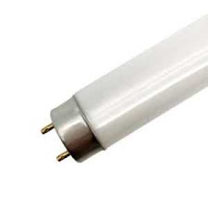 FL23 T8 MEAT DISPLAY FLUORESCENT LAMPS 970mm 23W 4000K