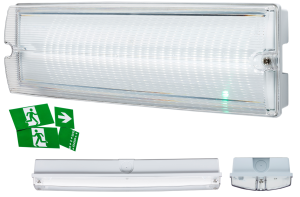230V IP65 4W LED Emergency Bulkhead