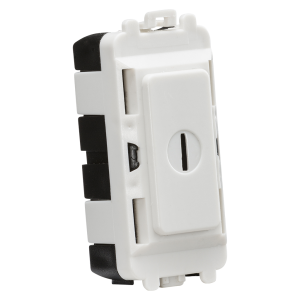 20AX 2 way DP key module - white