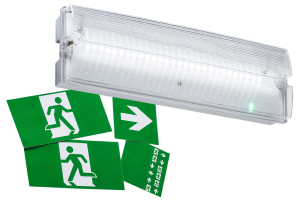 230V IP65 3W LED Emergency Bulkhead