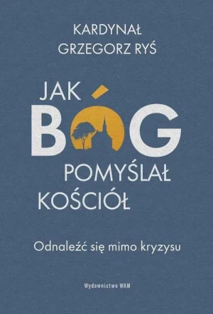 Jak Bóg pomyślał Kościół. Odnaleźć się mimo kryzysu. Kardynał Grzegorz Ryś
