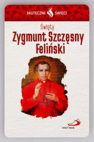 Karta Skuteczni Święci - Święty Zygmunt Szczęsny Feliński.