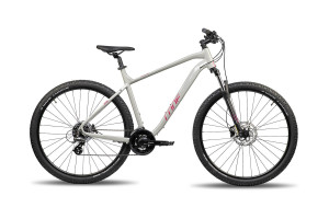 Cone Trail 1.0 Disc