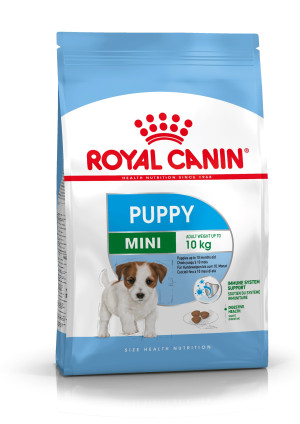 Royal Canin Italia Shn Mini Puppy 8kg