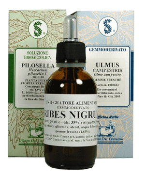 Sarandrea Fico Foglie 100 Ml Gocce