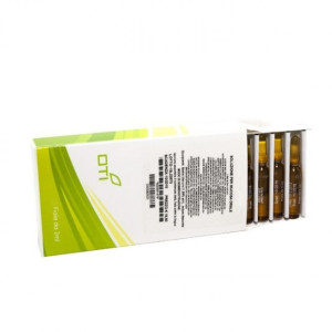 Oti Euphrasia Officinalis*06lm Pl