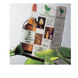Sangalli Rosa Canina 100ml Mg