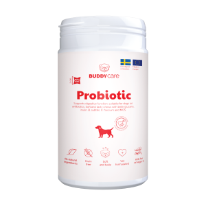 Buddy Pet Foods Probiotic Tyggebiter til hund, 150 g