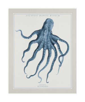 Bilder Fensterfolie - Atlantic Marine Museum Octopus oder mit Eigen...